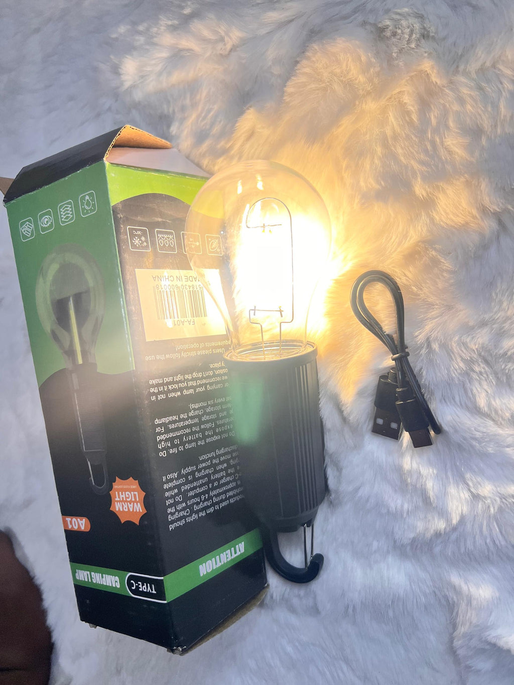 10V LED filament light bulb and USB charging cable