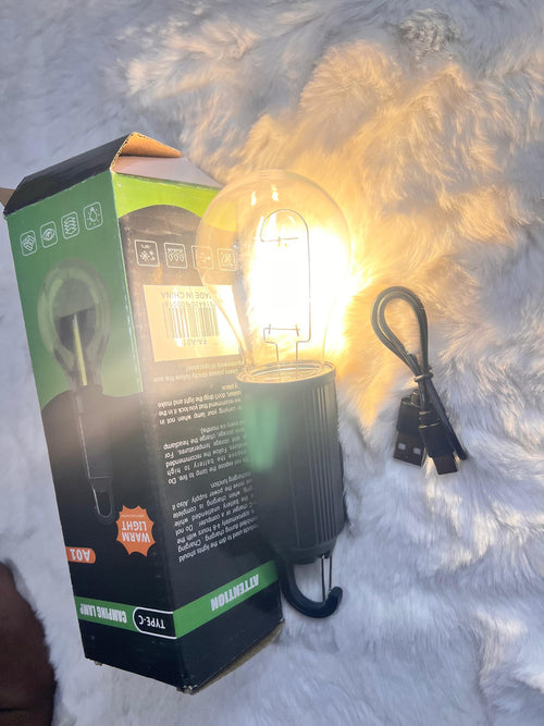 10V LED filament light bulb and USB charging cable