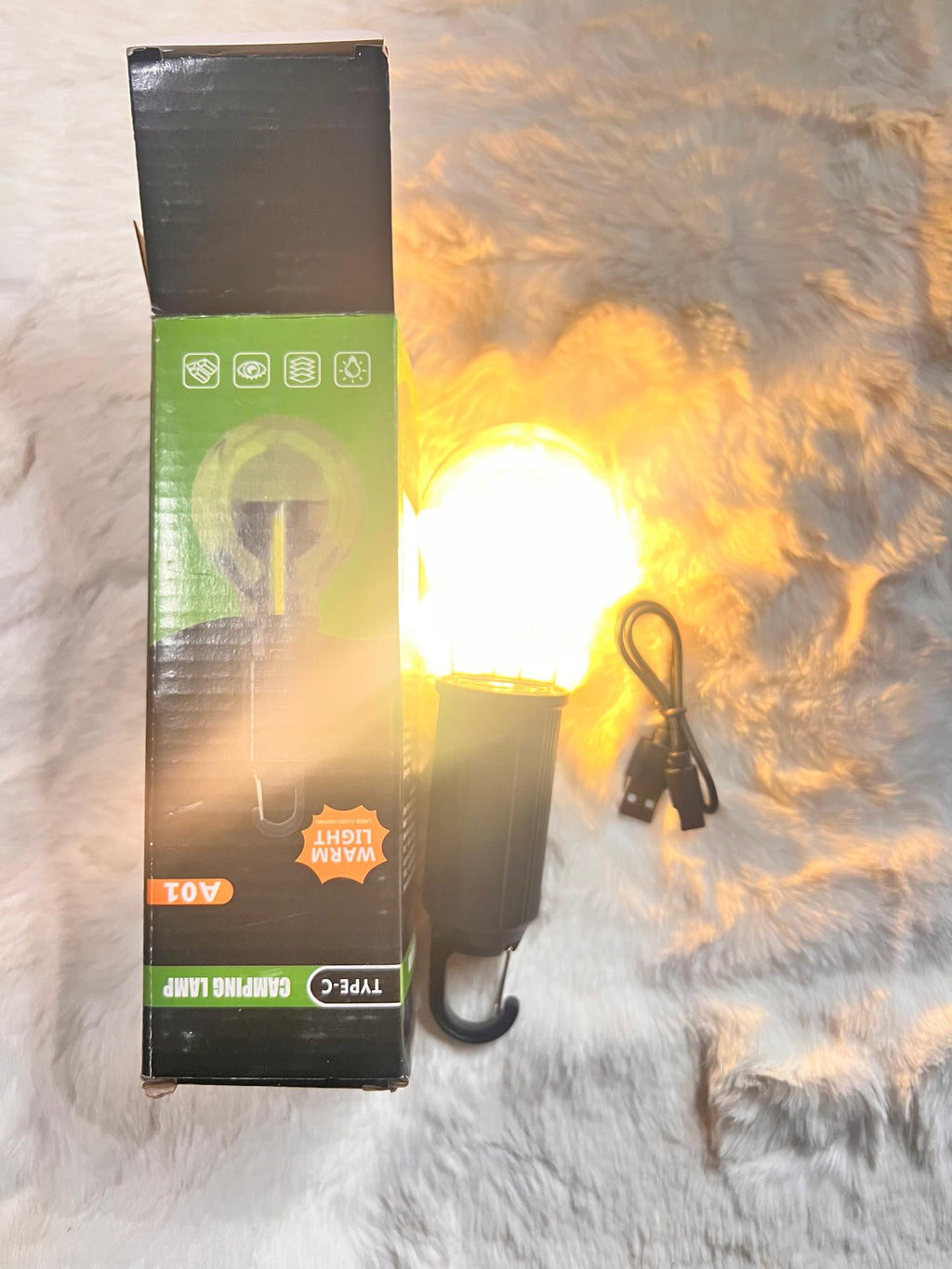 10V LED filament light bulb and USB charging cable