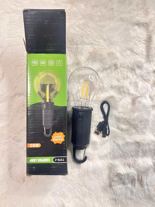 A 10V LED filament light bulb with a black base and USB charging cable
