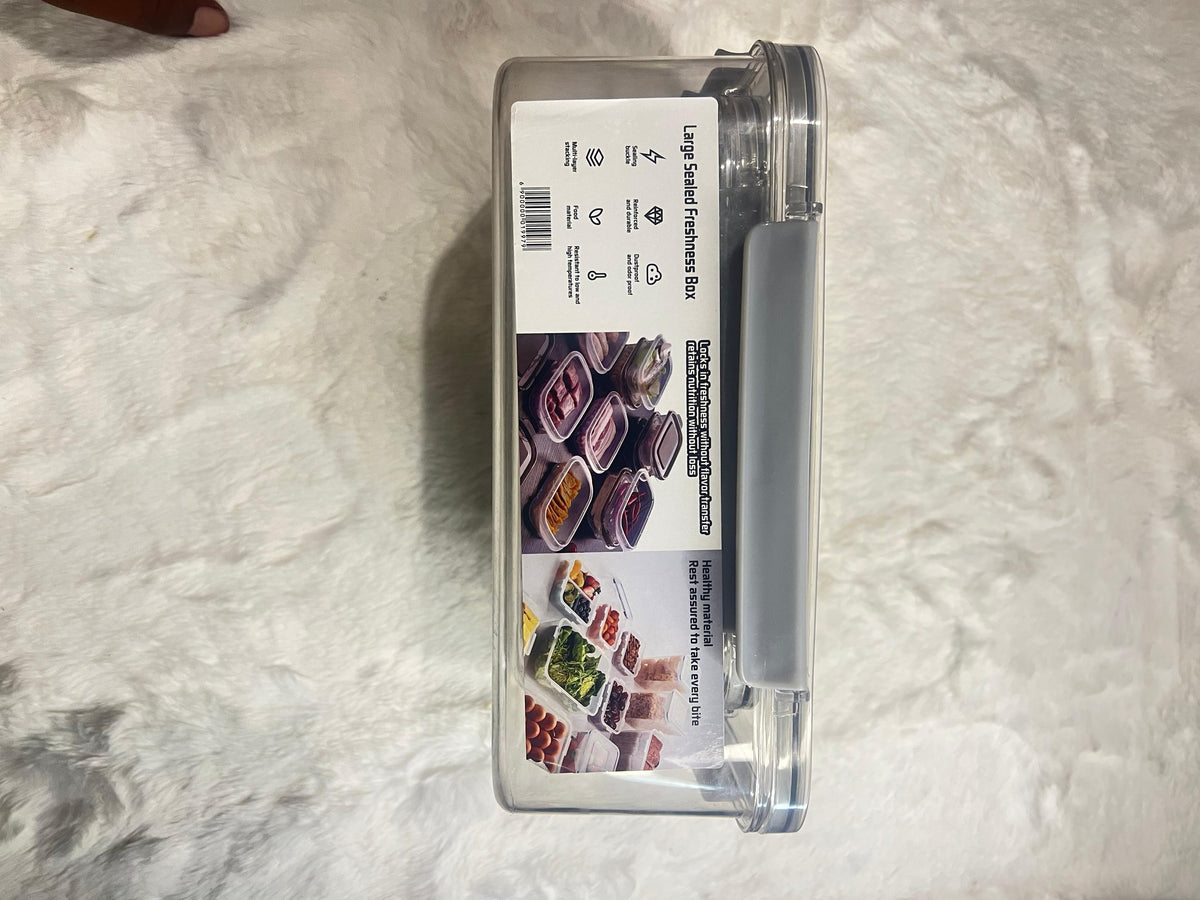 Set of four large clear plastic storage containers with gray lids